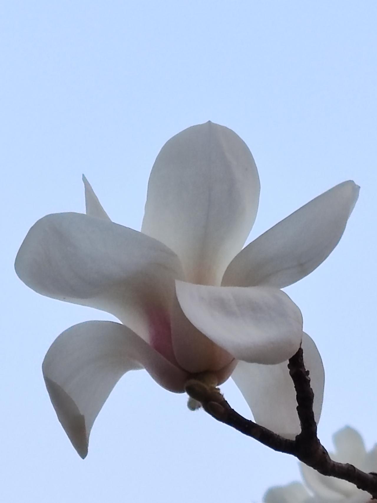 上过大学，当过领导的人大多都有自制力和自控力。他们看问题透彻，想问题清晰，做事情