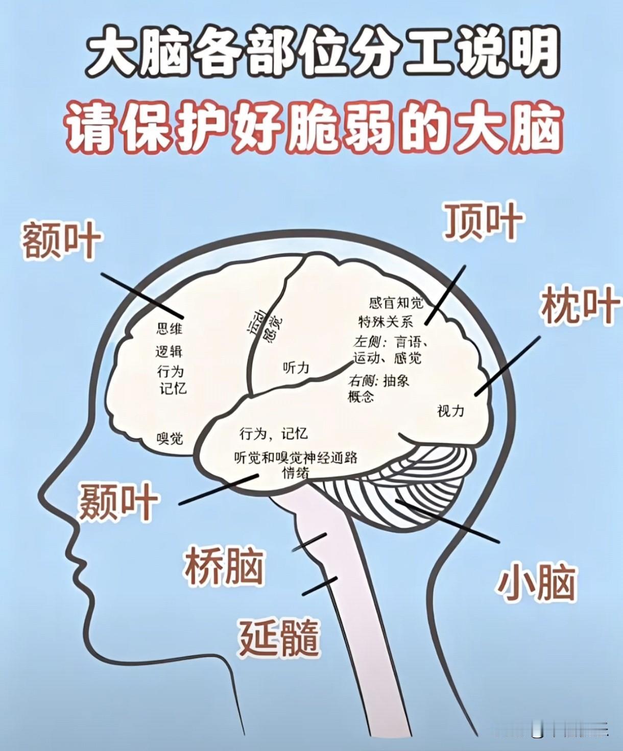 20260811
——小盘低价格债池：

百畅116，蒙娜122，寿22 125