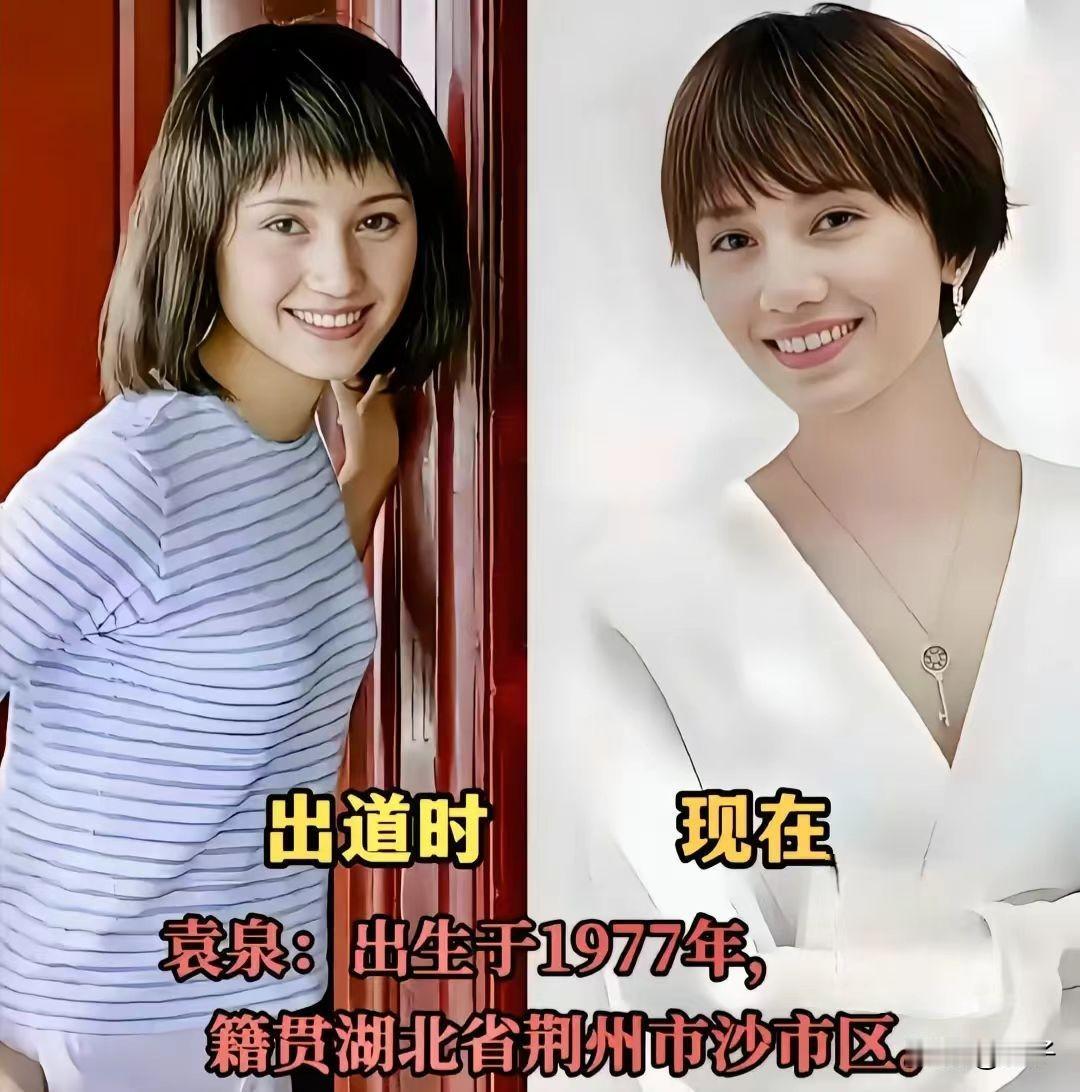 70后荧幕女神今昔对比，出道青涩模样VS如今从容姿态。
袁泉、马伊琍、陈数、郝蕾
