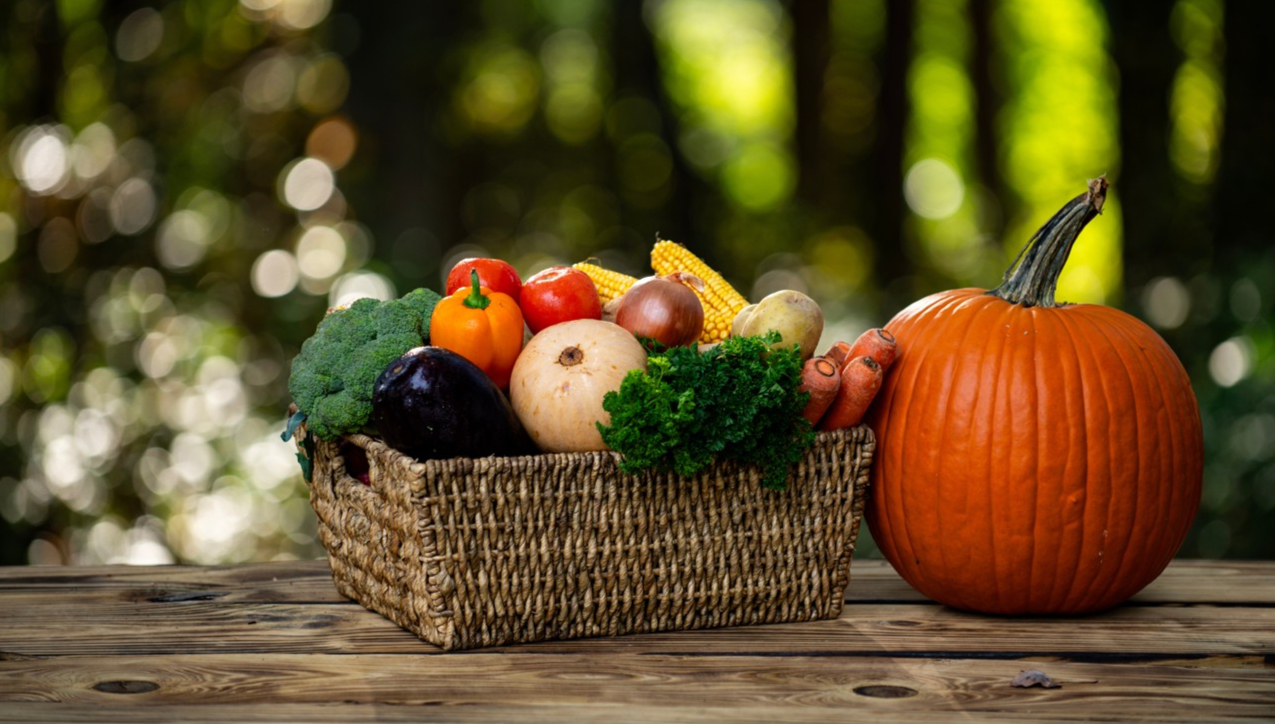 股价狂飙三倍！营收净利双增难掩增长乏力，浙江东日的瓶颈与破局