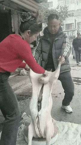 这刀法？
看把那家伙吓得！你哆嗦什么，又不是让你去割，更不会割到你的肉，你仅仅是