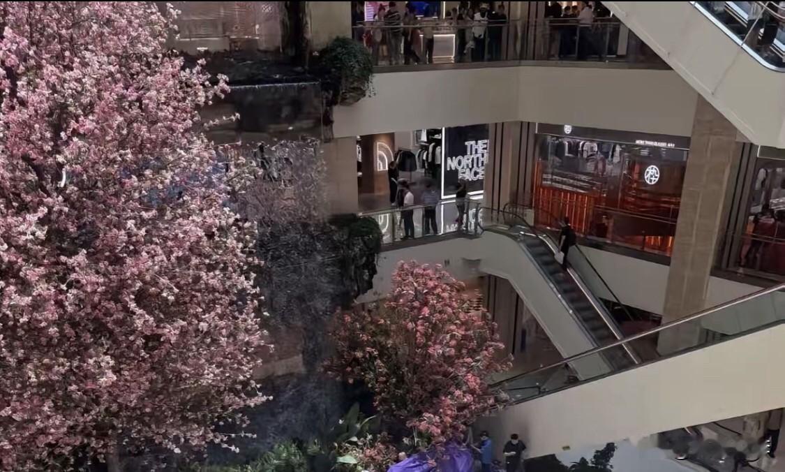 不知内情，不做评论。只想说，人太好了！人善被人欺。

只能说，痛心。生命诚可贵，