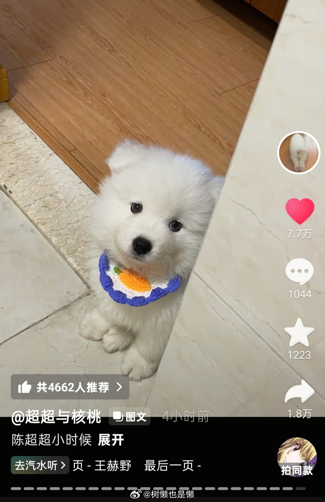 ！才发现图1这张很火的图是陈超超！！（关注了这么久都没发现置顶视频哈哈哈哈豆豆眼