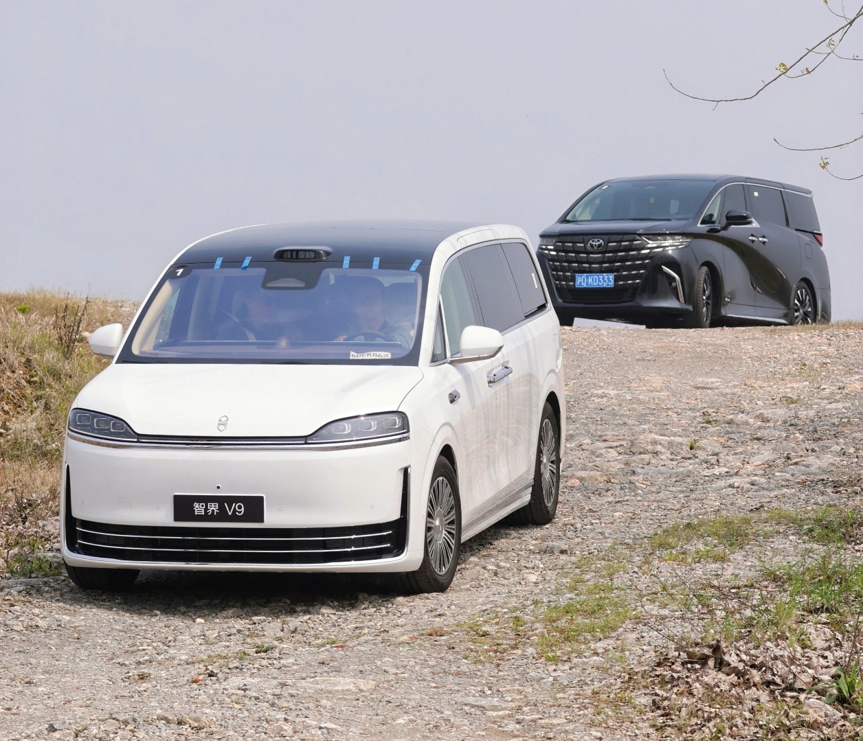 智界V9上市培训，把埃尔法也拉出来溜溜了。第一次见白色V9，挺典雅的。 