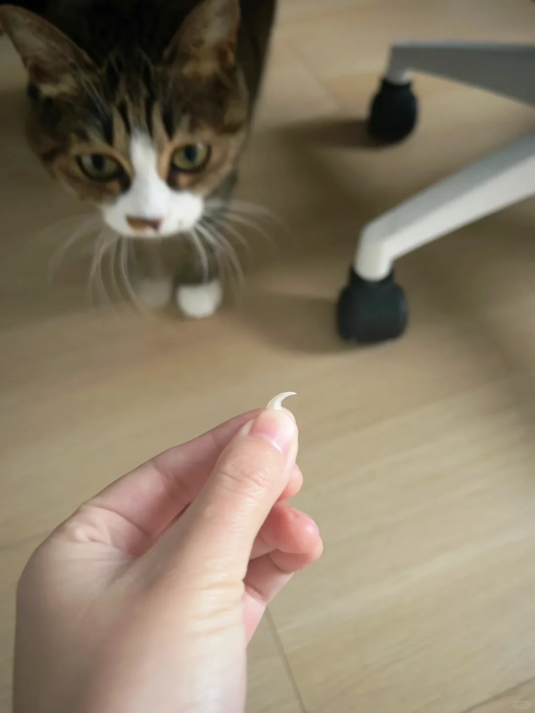 一大早看我捡到了什么～