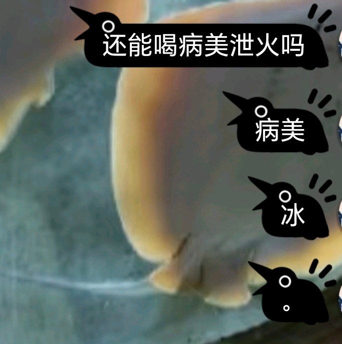 输入法之罪 