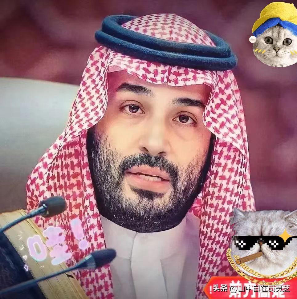 沙特继卡塔尔之后也跪了。
沙特阿拉伯外交部21日晚发表声明说，沙特方面已通知伊朗