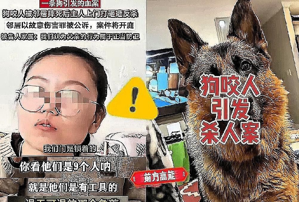 现在全网最烦恼的，不是因为狗被摔死了，也不是因为狗主人被捅死了。而是，一场悲剧发