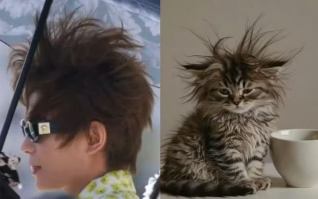 黄晓明是丁禹兮铁血猫塑没错我们丁禹兮就是猫猫的代表[求关注]，如果你不信你就看这