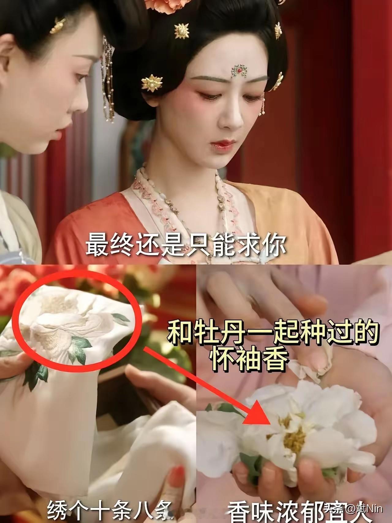 《国色芳华》原来秦胜意绣的是怀袖香，找到原因了…胜意啊牡丹给你取胜意，是希望你事