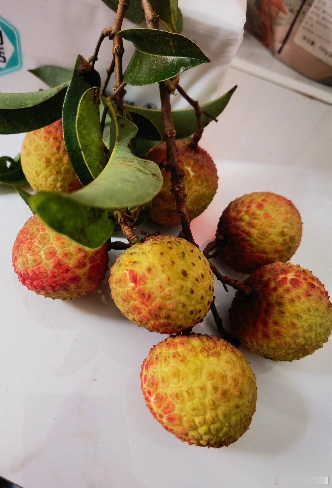 随手拍还没好好吃一顿荔枝，荔枝季节已到尾声了阳江 阳江·阳西