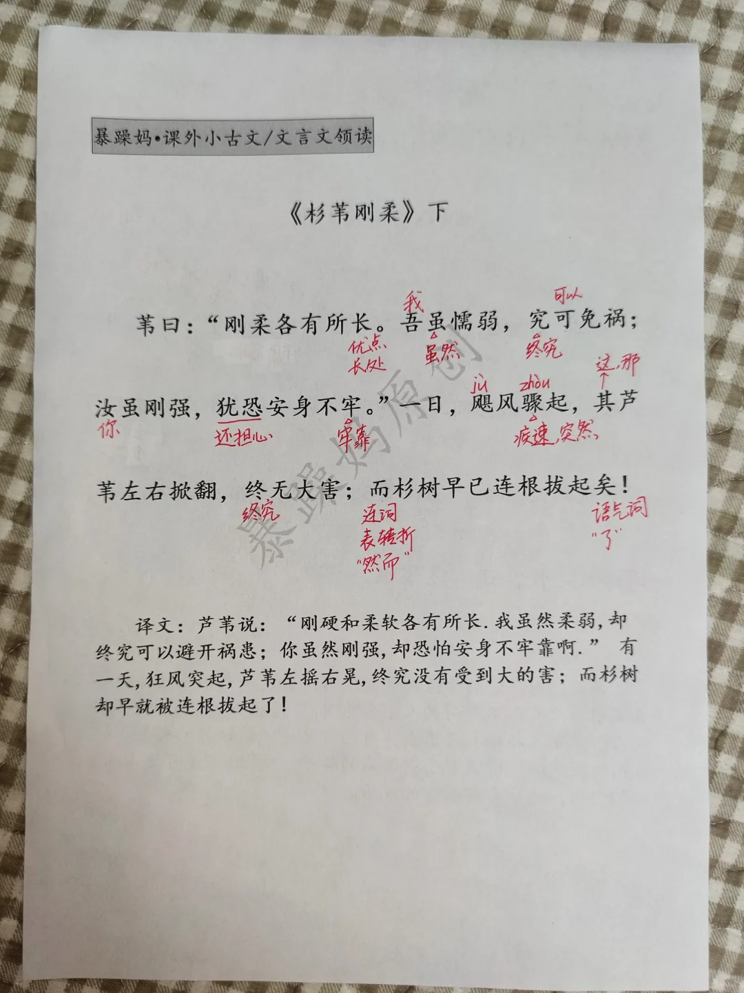 小古文《杉苇刚柔》讲义和练习