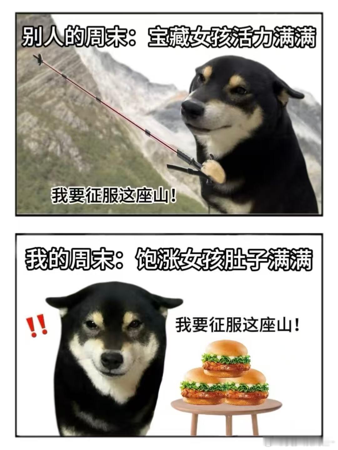 周末计划再美好，也抵不过宅家躺平的快乐。不想出门、不想折腾，外卖直接送到手边才最