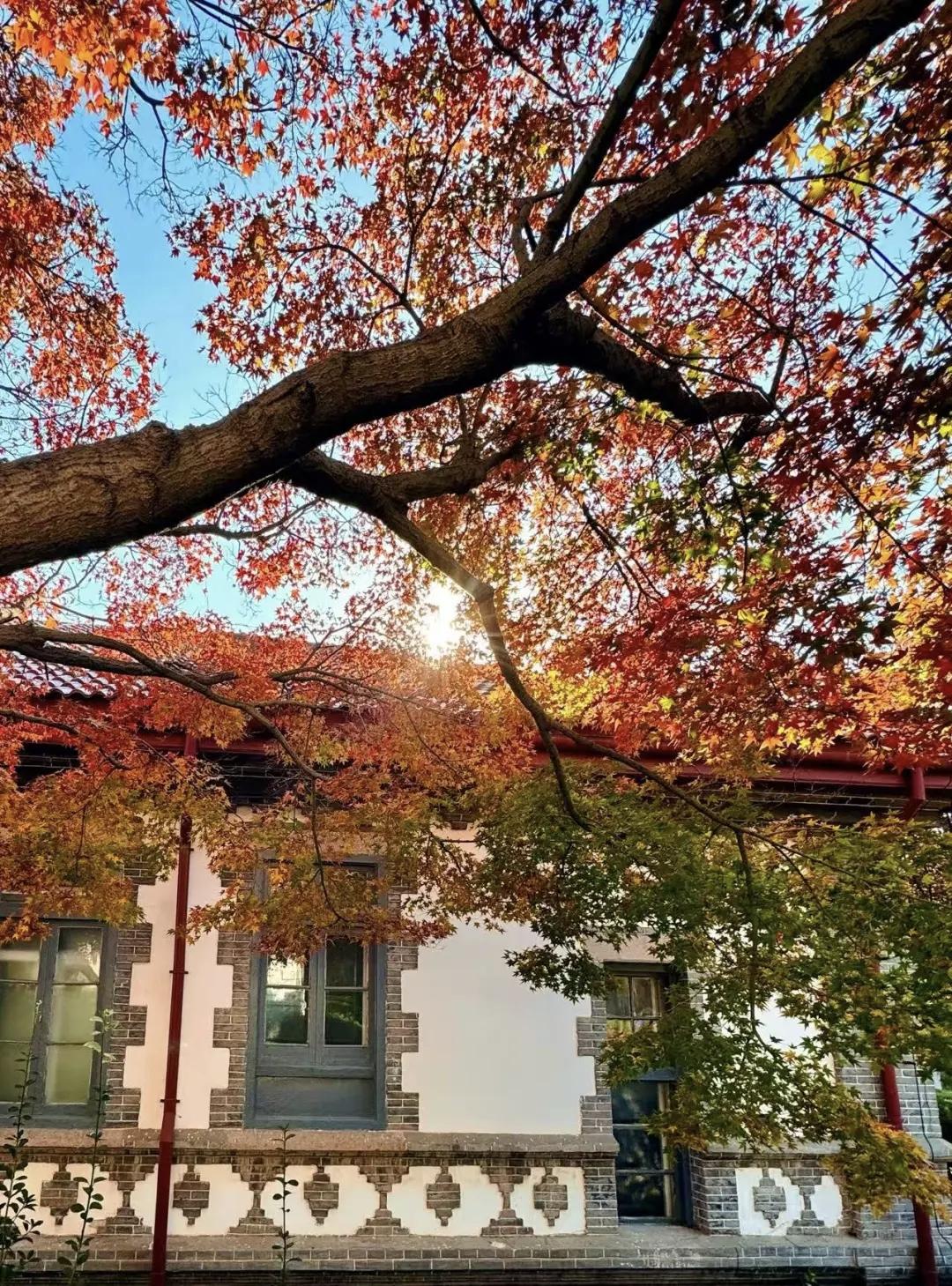 【人生下半场，比的是心态，拼的是健康；幸福不属于穷人也不属于富人，属于知足的人】