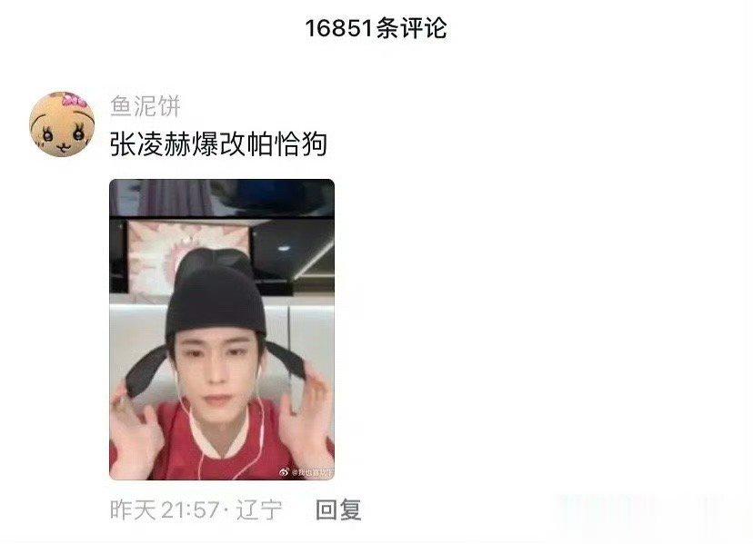 #张凌赫版帕恰狗# 张凌赫版帕恰狗，很难不让人怀疑这就是他的本体吧，剧里面的谢危