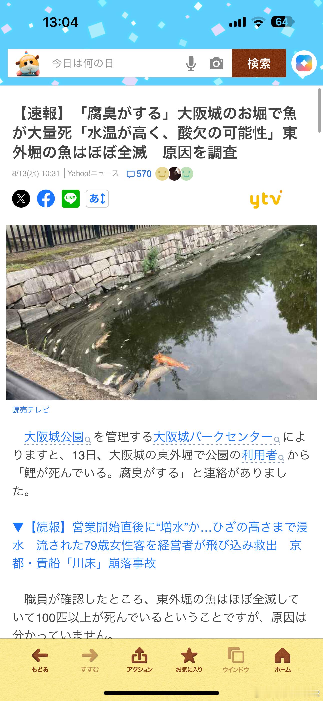 海外新鲜事 大阪城护城河锦鲤因高温全灭 这天是有多热[哆啦A梦吃惊]大阪城护城河