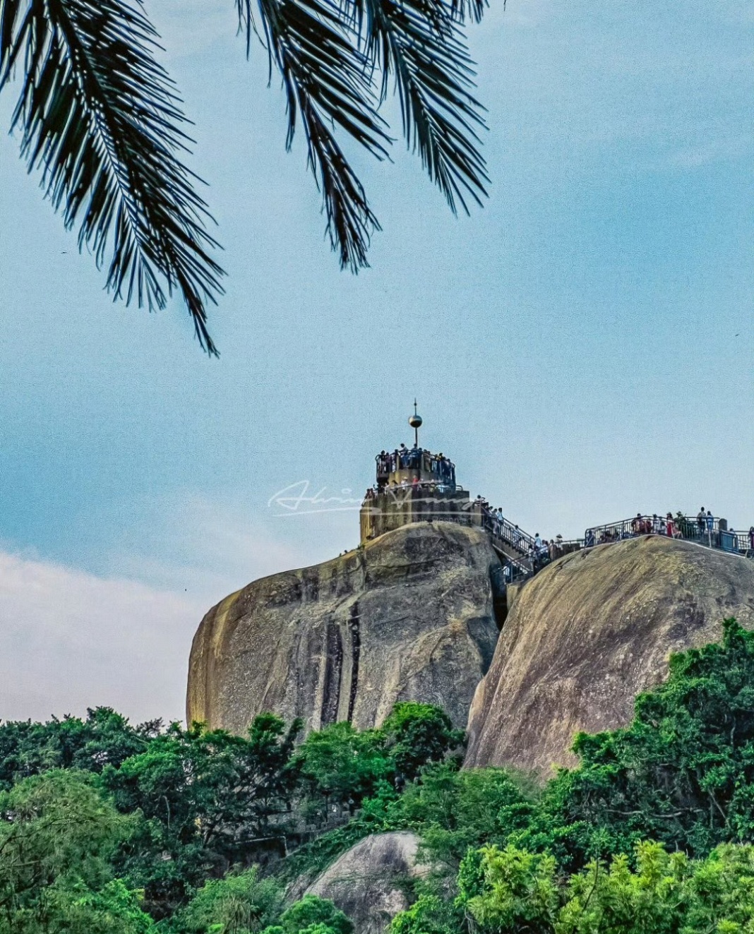 高中地理课本从不说谎！鼓浪屿上风格各异的万国建筑群，与对岸思明城区的热闹景象遥相