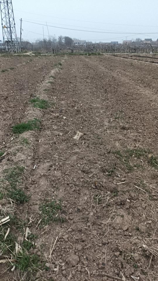 春耕生产忙碌碌的季节
三月春风得意的忙碌碌的季节，天天早起床刷牙洗脸去田地。清理