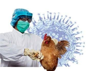 健康冷知识：全球首例人感染H5N5禽流感病例22日在美死亡
该患者为华盛顿州一名