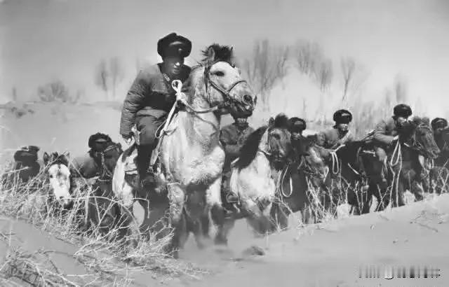 雪夜奇袭，一战封神：东北抗联的“冬日盛宴”，藏着最硬核的抗日底气

1940年，