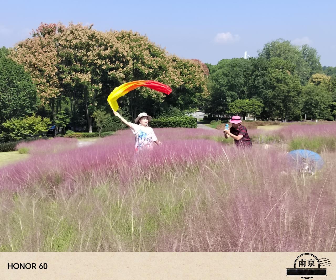 打卡南京绿博园，粉黛乱子草很吸睛
今天是国庆长假第六天，中秋节，南京市天气晴，气