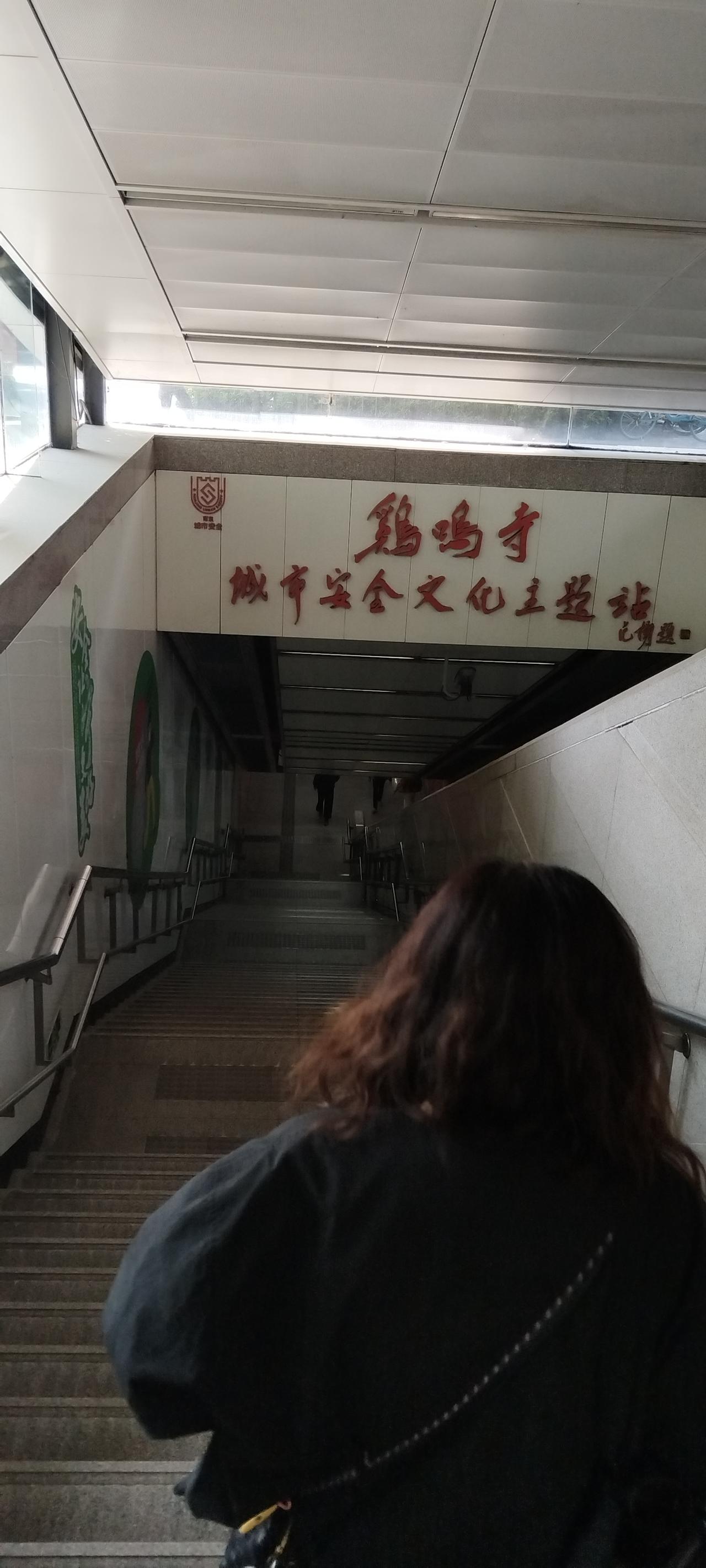 我拍的“鸡鸣寺：城市安全文化主题站”，它不是植物的花，它是地铁站安全之花。当大家