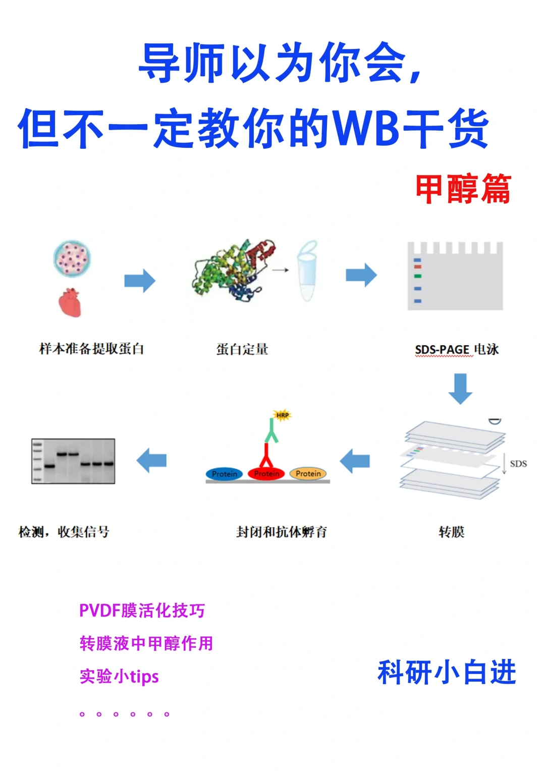 导师以为你会但不一定教你的wb 小技巧