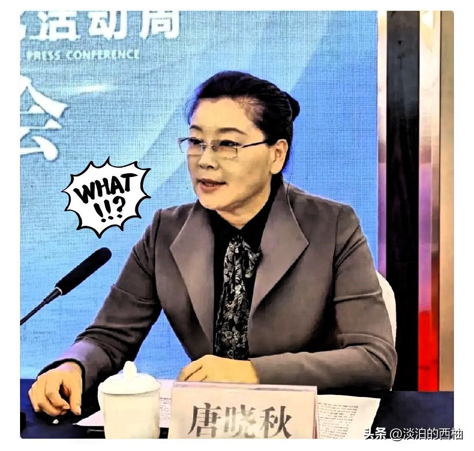 今天刚刷到，吉林通化唐晓秋被查了。
 
唐晓秋是吉林通化人，当过通化市民政局党组