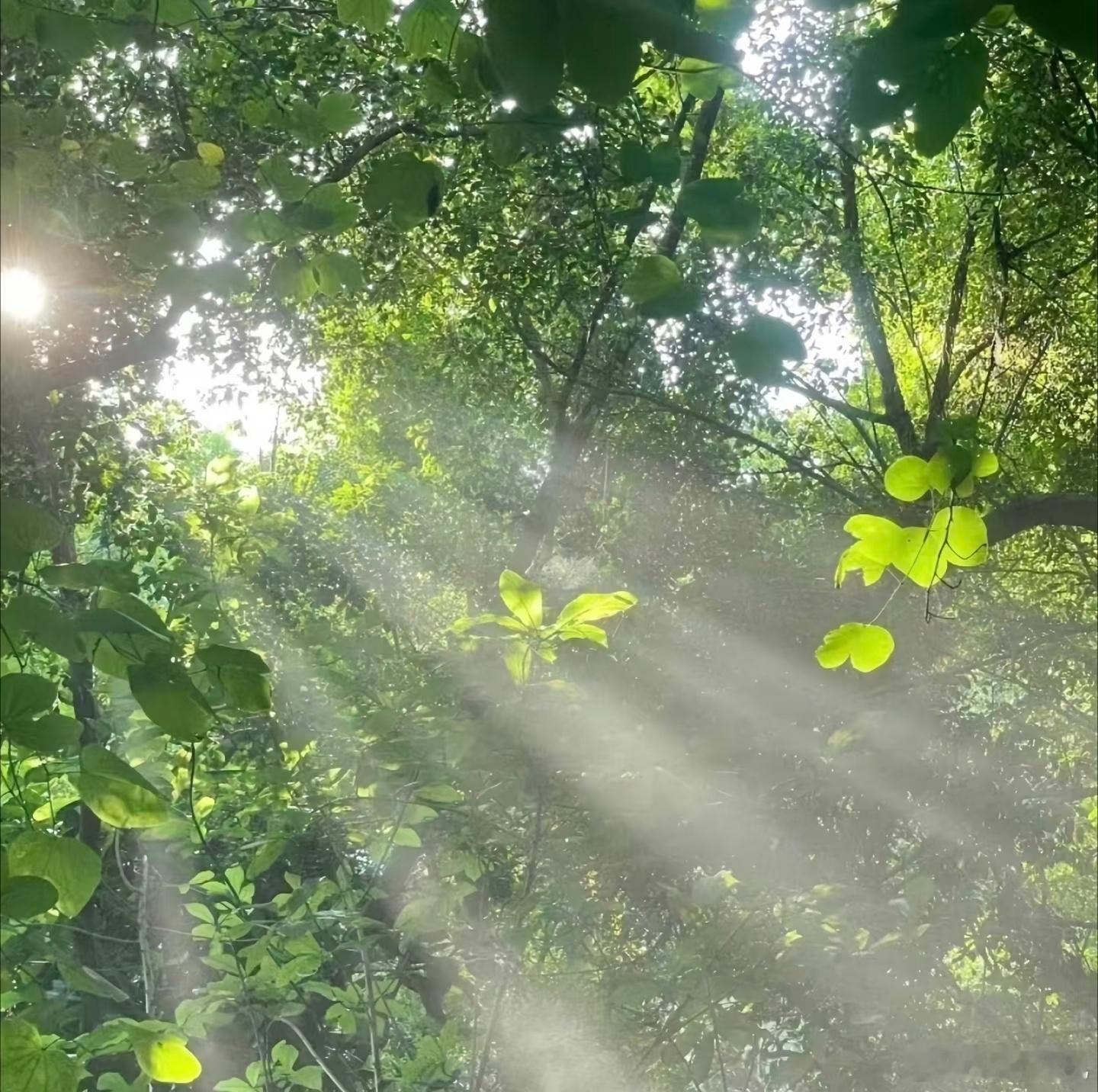 人生之旅或阴或晴，风一程雨一程，长大并不是一件容易的事，有些人长不大，有些人不想