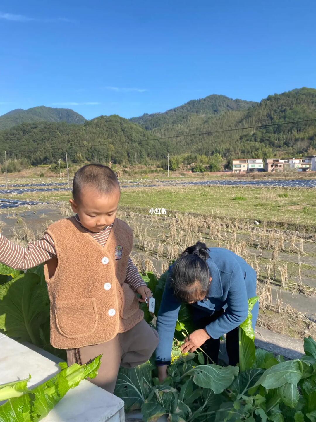 手机短视频，正在摧毁乡下孩子惟一的优势