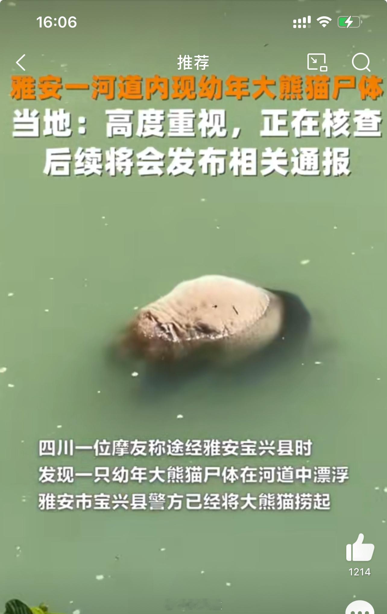 #溺亡大熊猫表面无明显人为伤#大熊猫已经得到妥善处理，相关部门已经在调查，熊猫表