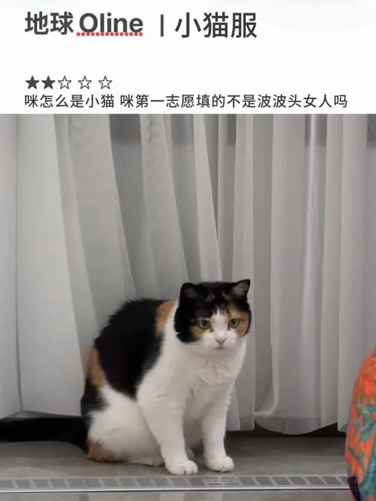 这个是潘