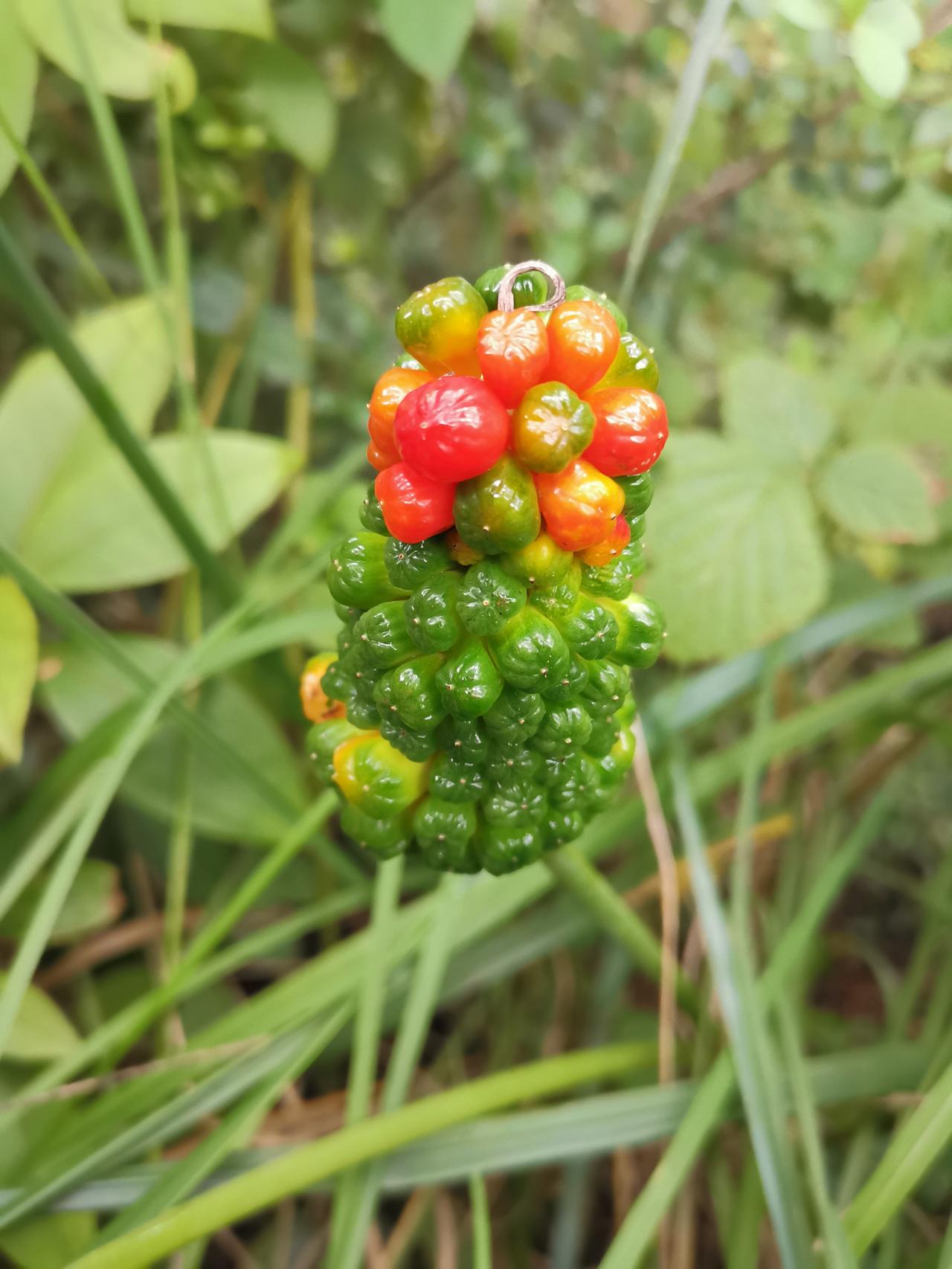 堂姐开着宝马回村，当众甩给我爸两千块：“二叔别扫大街了，给我家看仓库吧！”我爸笑