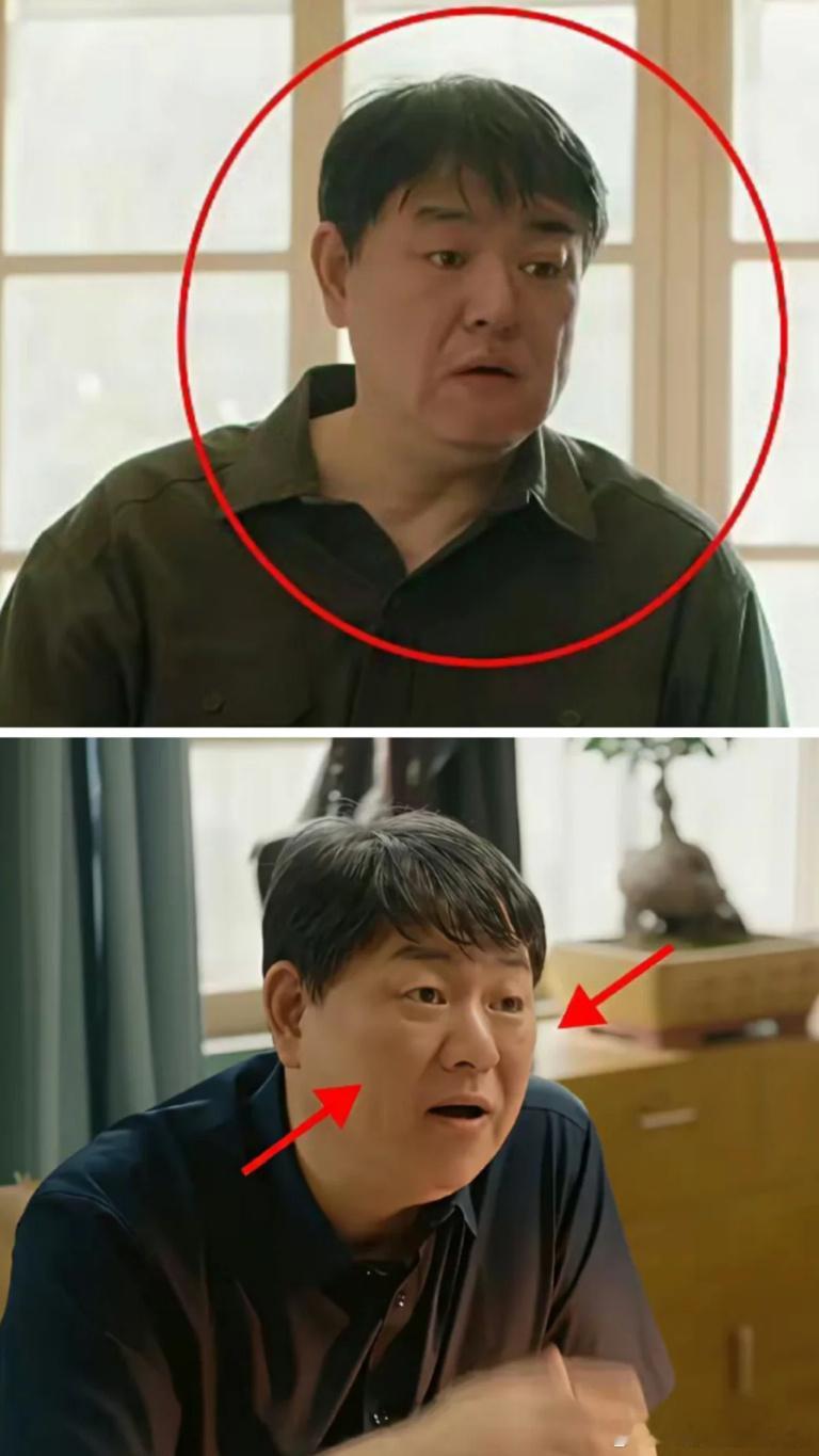《刑警的日子》黄队为啥被换脸啊高亚麟被换成了张磊 ​​​