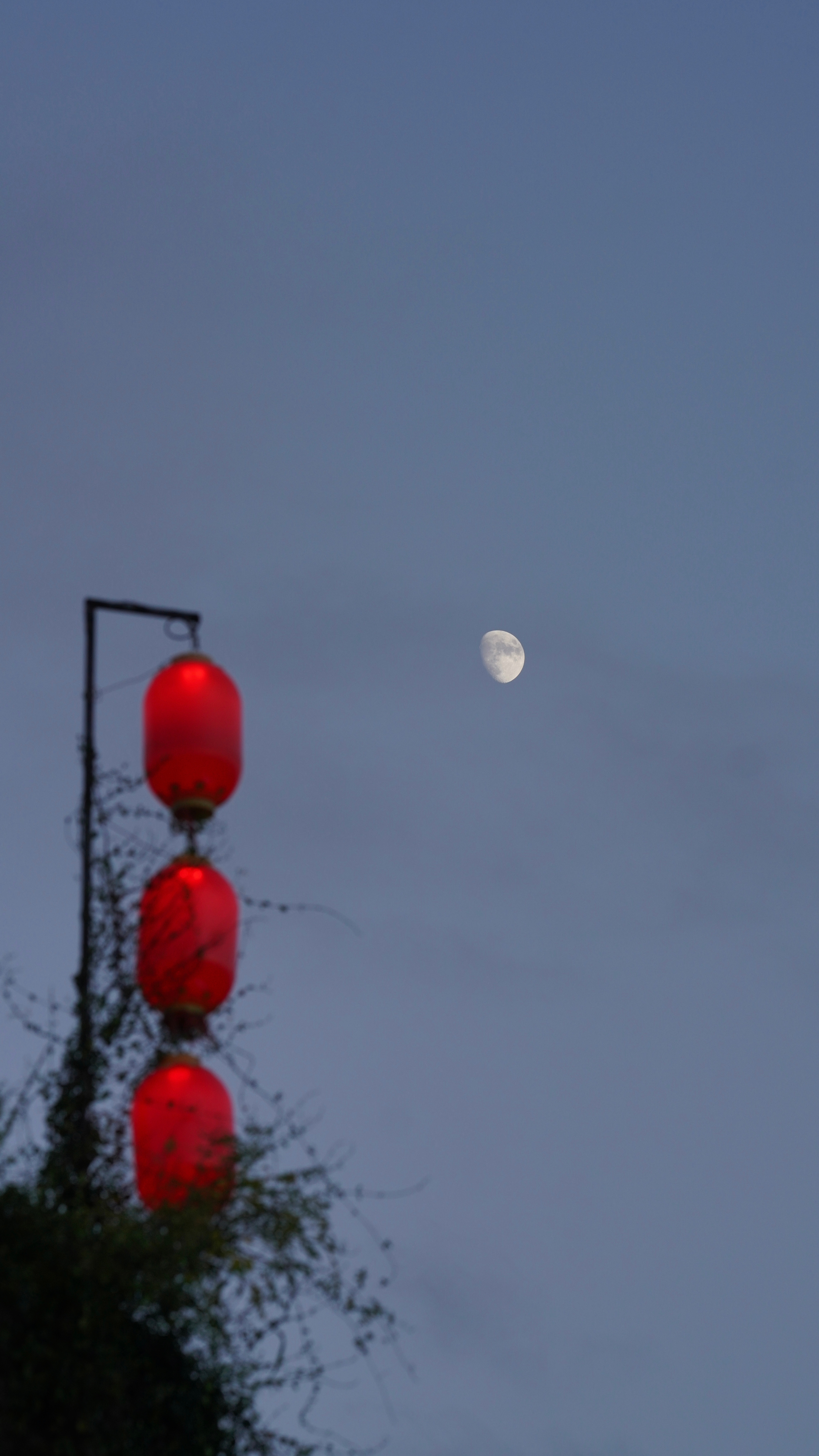 分享图片 