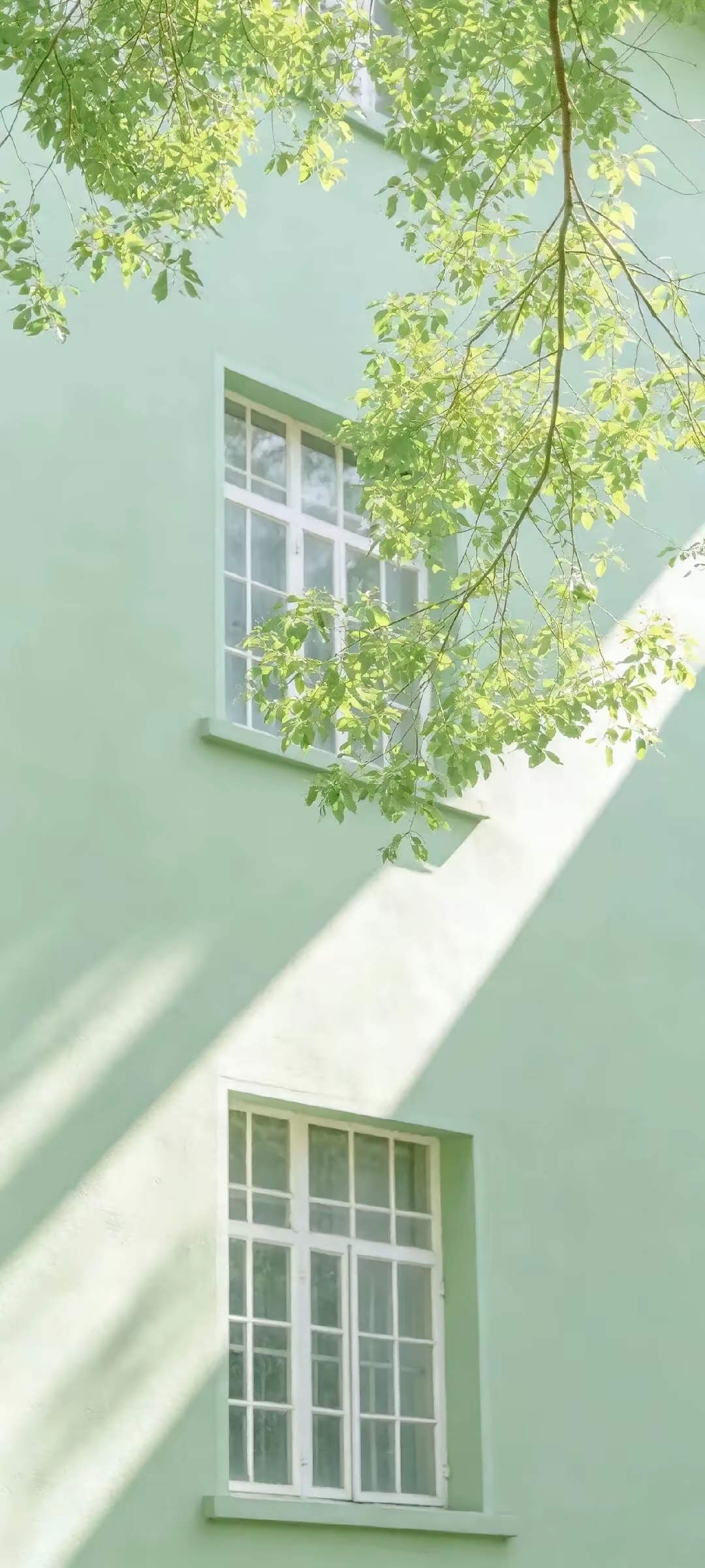 “手机锁屏壁纸 ｜绿野。” 
