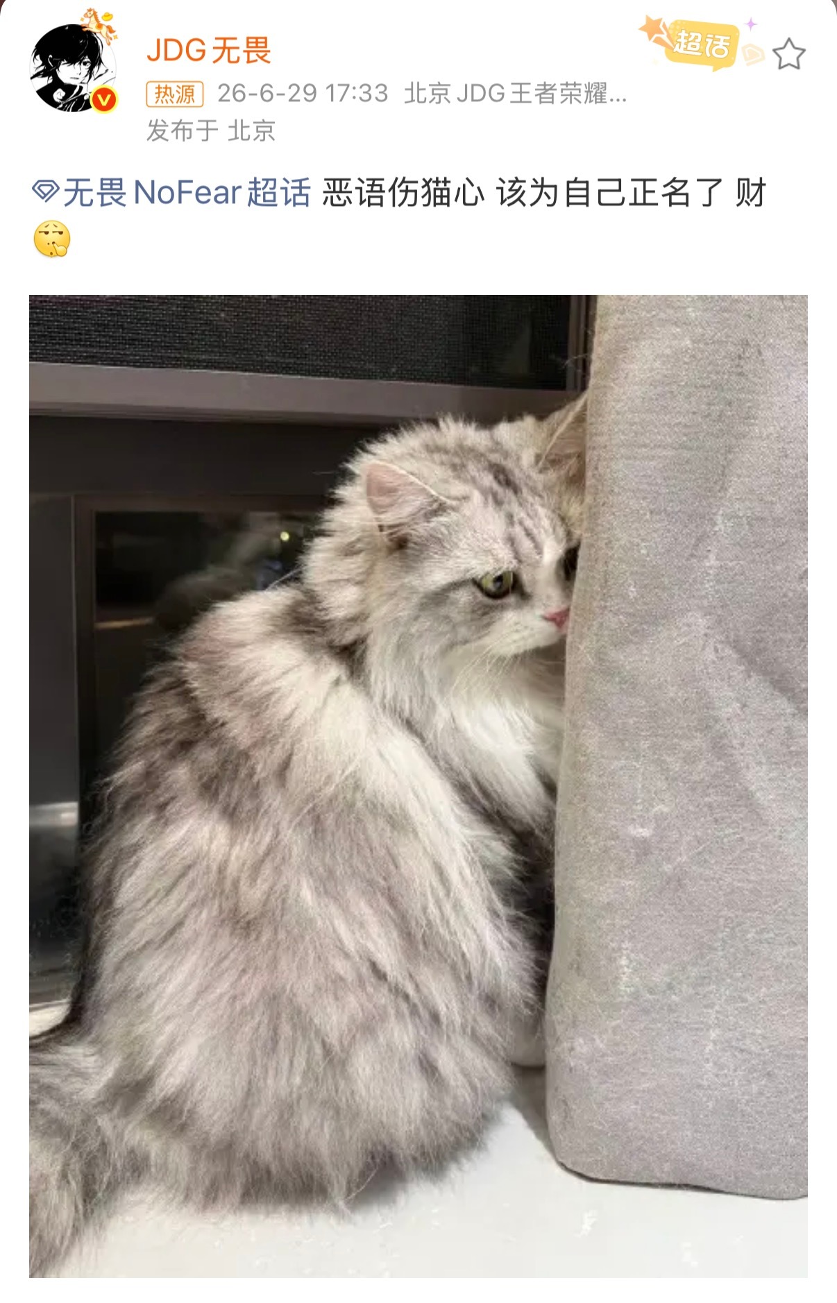 无畏为自己的猫正名了 ：恶语伤猫心 该为自己正名了 财