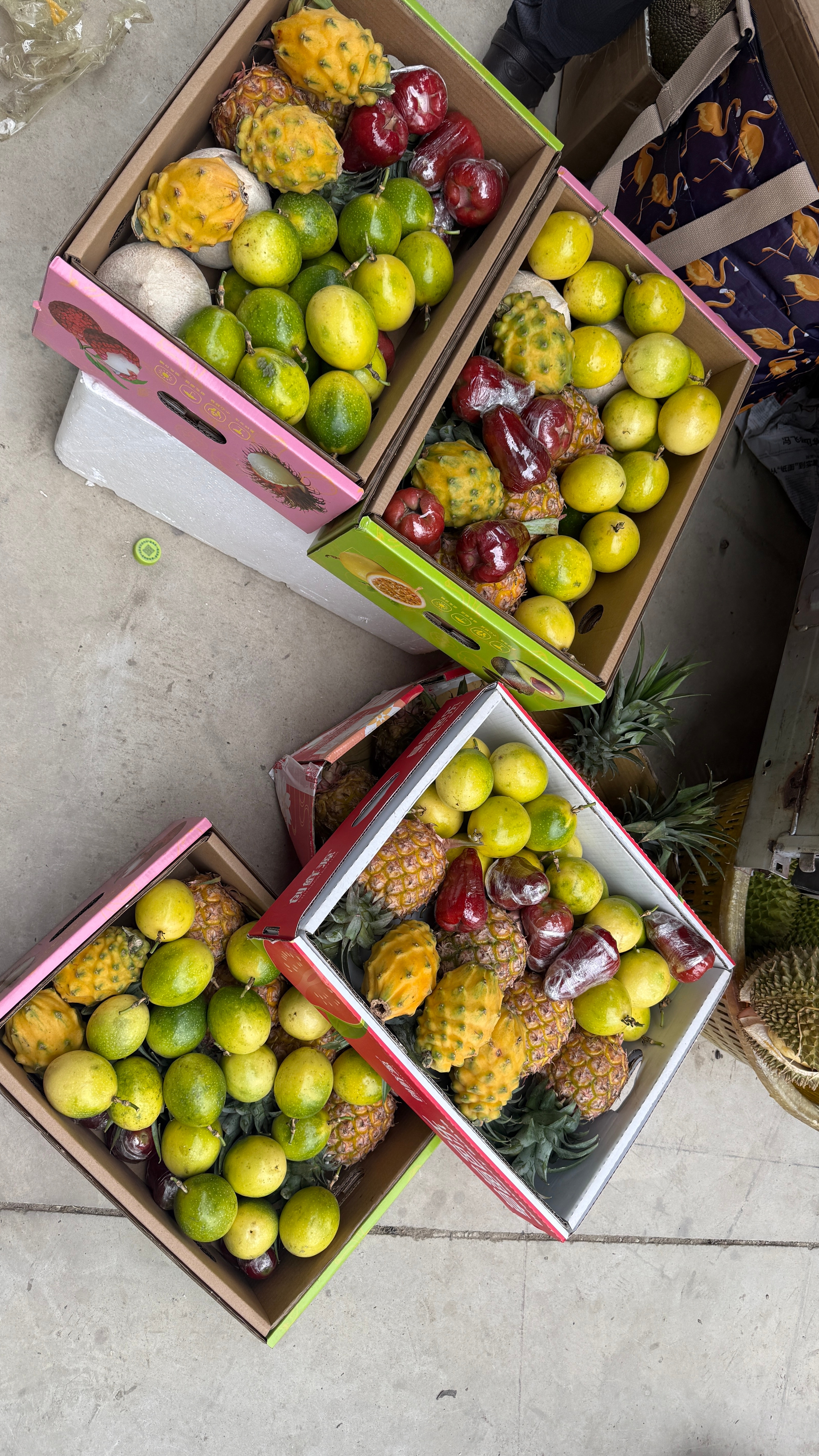 海南的手信就是这些热带水果咋说呢，在这水果便宜，运费贵总体价格比北京贵，平均14