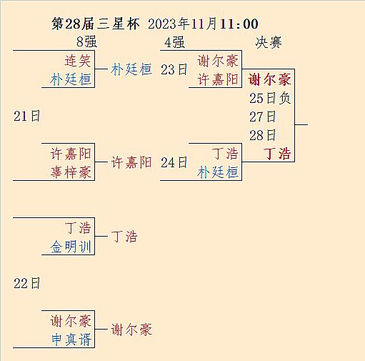 丁浩执黑1-0谢尔豪，27日继续第28届三星杯决赛三番棋第2局 #围棋#