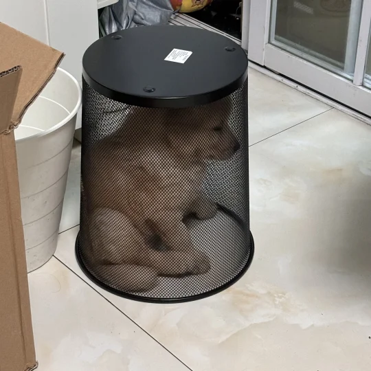 那些拍不出第二张的live图