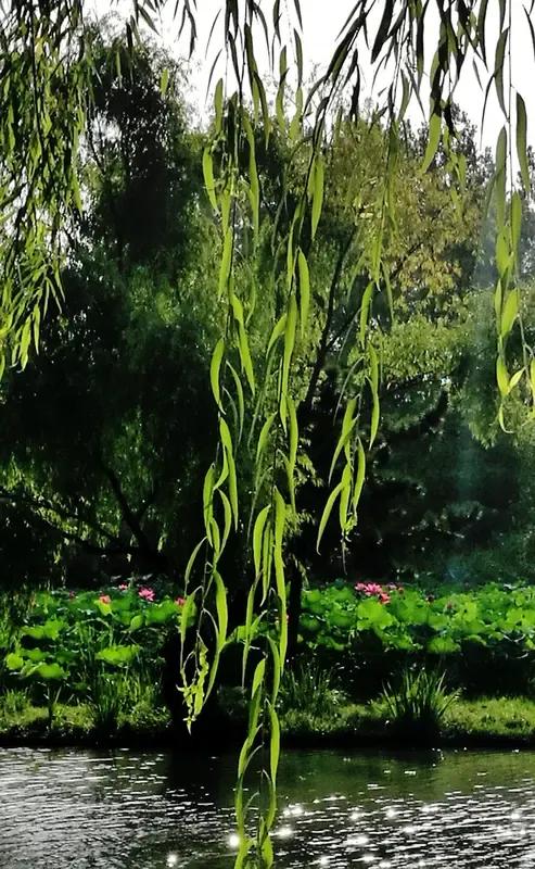 出上：春来水暖桃花艳，
对下：夏至风凉柳叶舒。