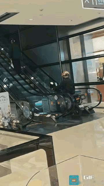 电动车能坐步电梯真是头一次见啊！
现在外卖小哥都修炼到上天入地电动车不离脚的地步