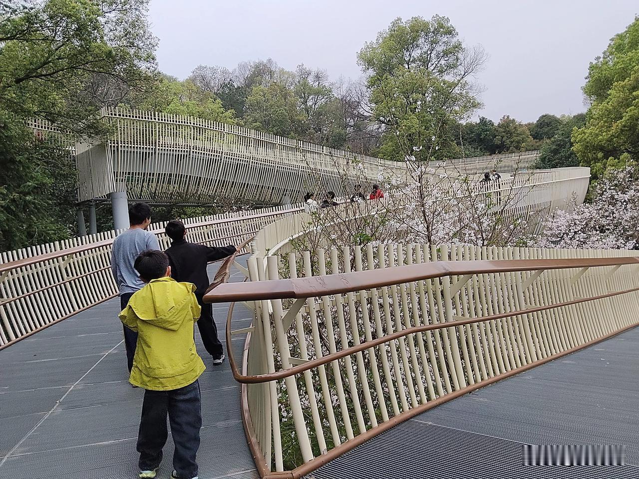 我38岁确诊宫颈癌早中期，做完了子宫和卵巢双切除，发现我不光身体残缺，脑子也没有