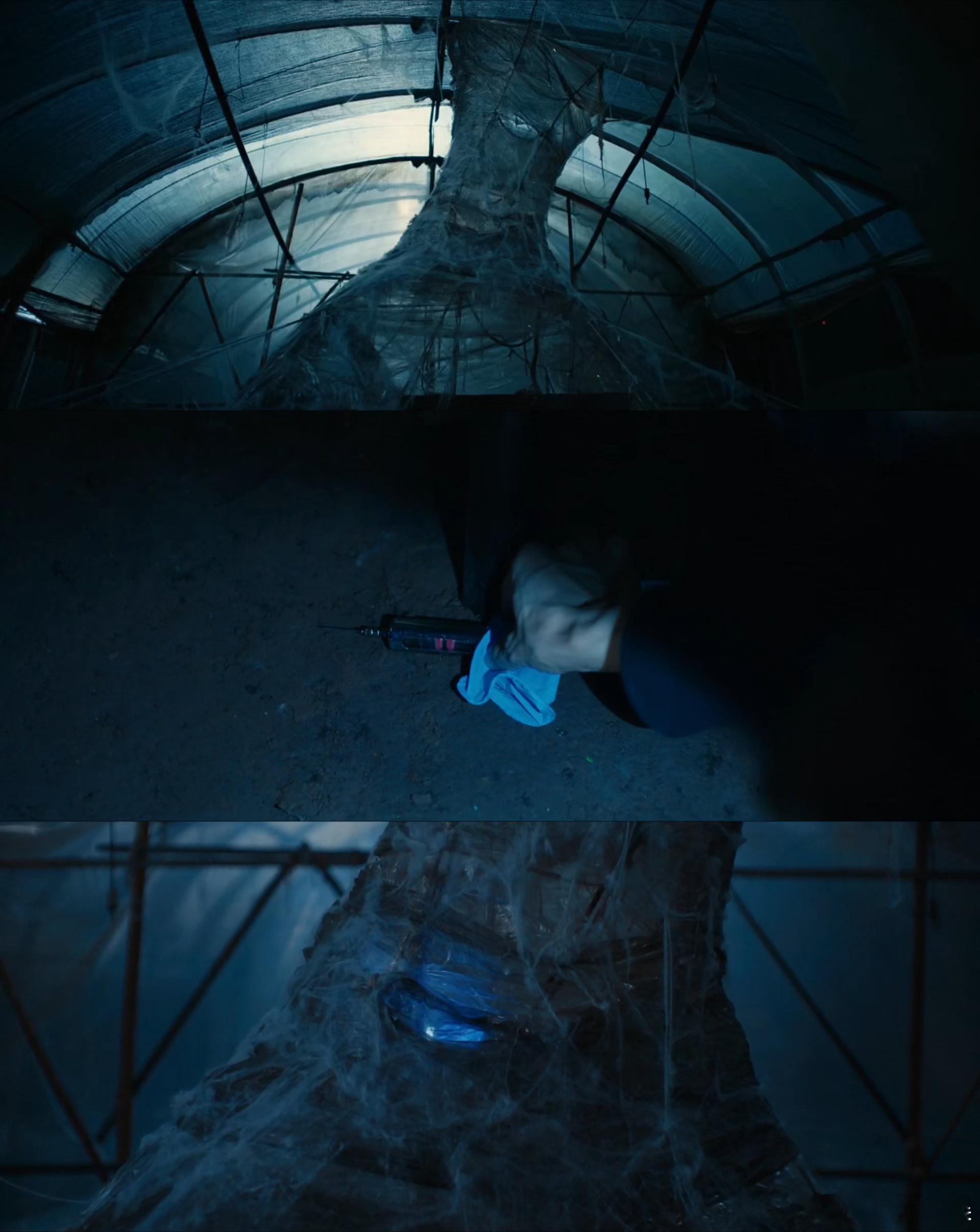 剥茧给法医学学生划重点了 连专业法医都在追《剥茧》！两位法医博主发博认证验尸戏份