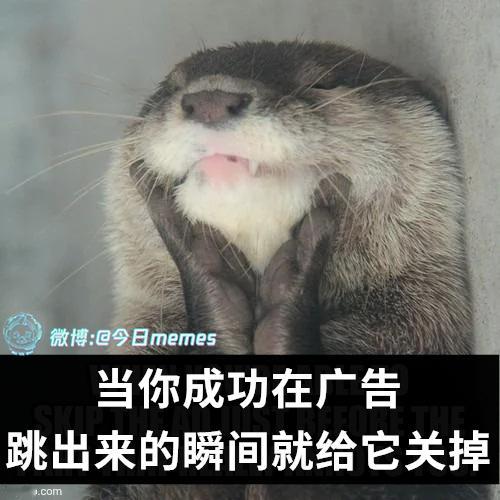 darling后（9gag）今日meme今日memes