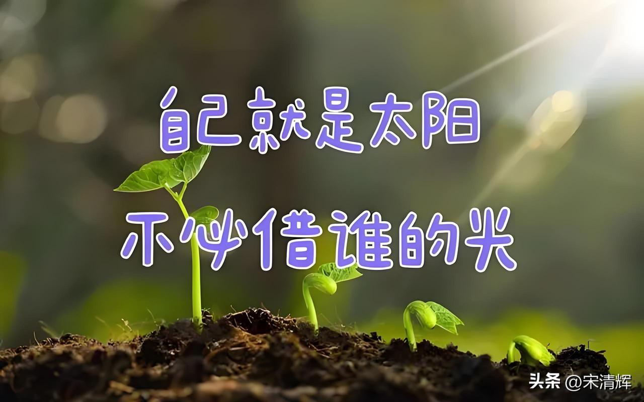 贵就是好！最贵的就是最好的，买就对了。