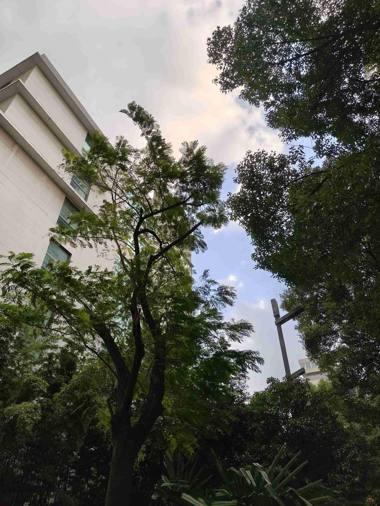 我的今日状态：💰期待暴富
我这里的天气：🌤️多云