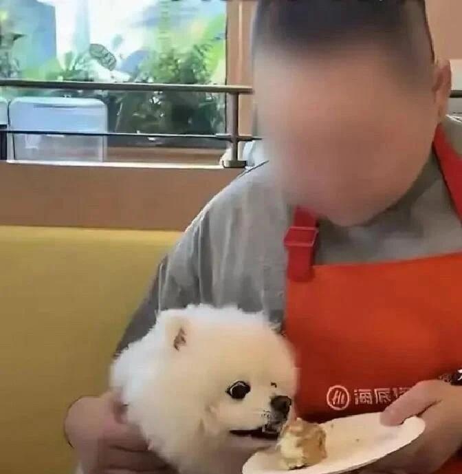 宠物友好不适合餐饮

5月26日，海底捞宣布，暂停旗下宠物友好门店接待宠物。
