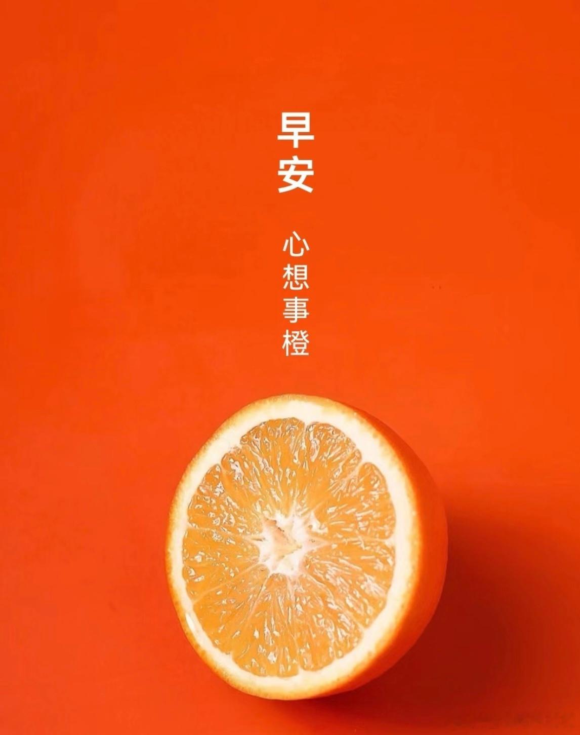 早呀宝宝们昨晚睡晚了 还在纠结搞不好运动 