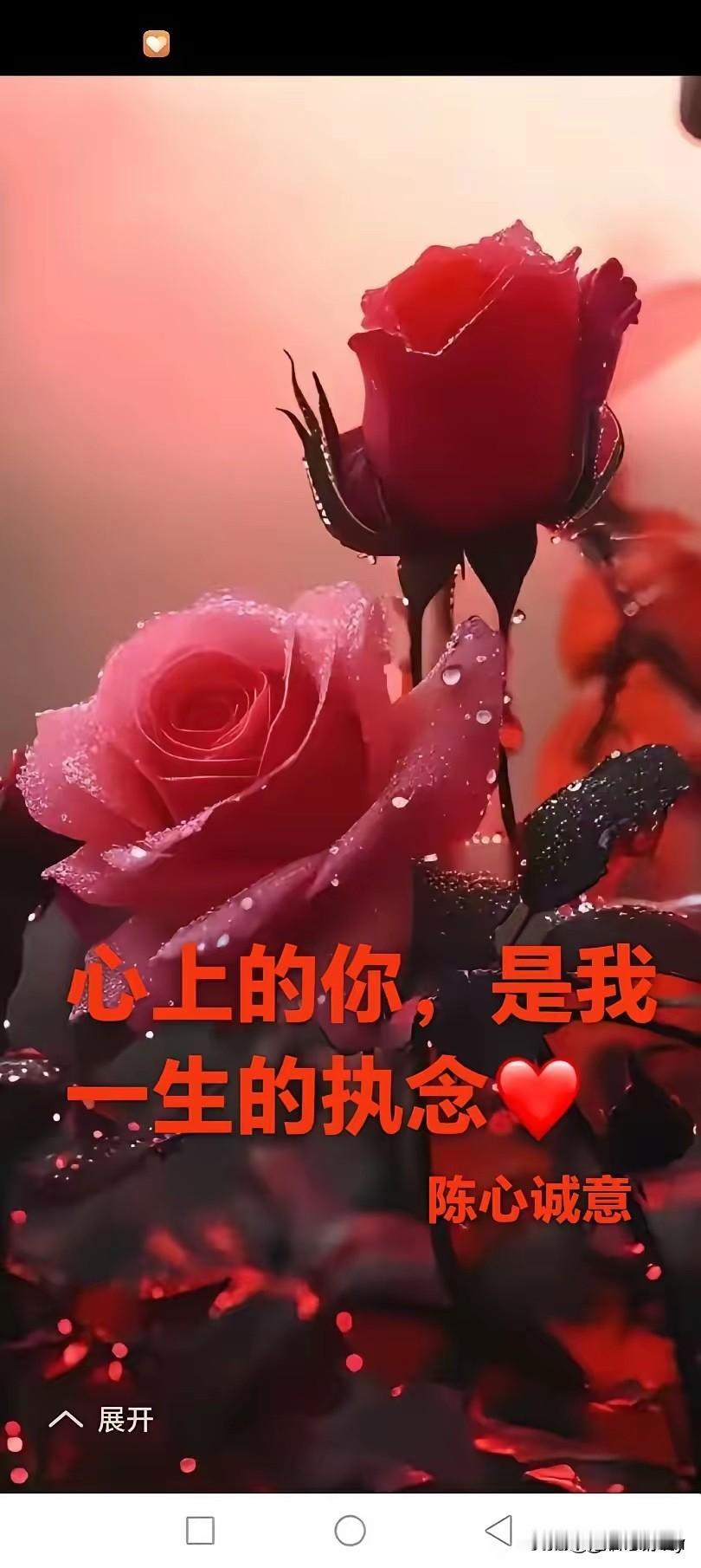 我们虽千里遥远
你却始终在我心里
心中对你的那种执念
无人替代
无人可及
别人美